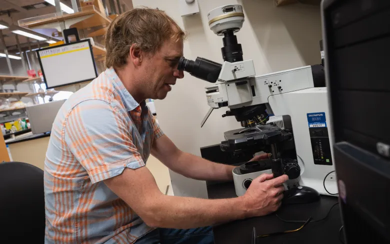 A man looks into a microscope.