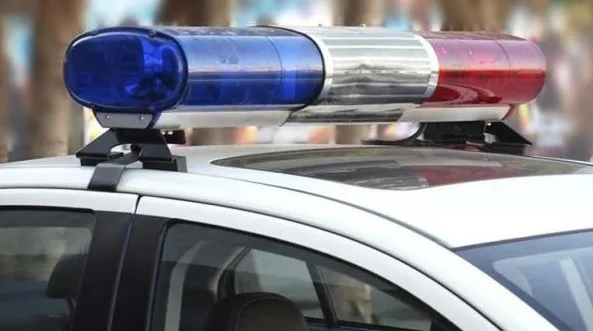 Glastonbury police have charged a fitness influencer after a viral video showed him kicking, throwing a dog