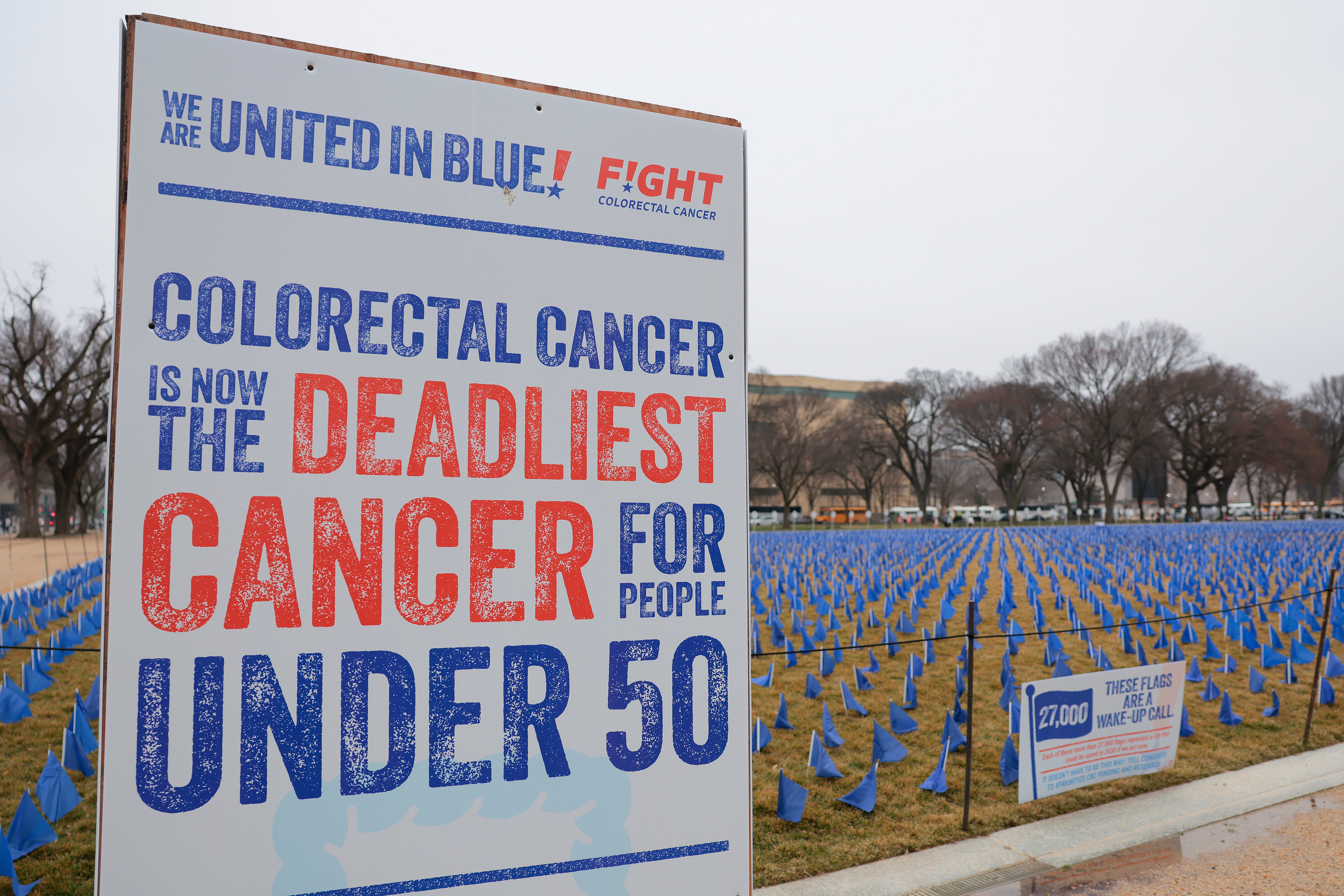 Approximately 27,000 blue flags representing the lives that can be saved from colorectal cancer with further funding and research were seen on the National Mall in Washington, DC, earlier this month. More than two million new cases are expected this year. GLP-1 has shown promise in reducing the risk of some cancers, although more research is needed