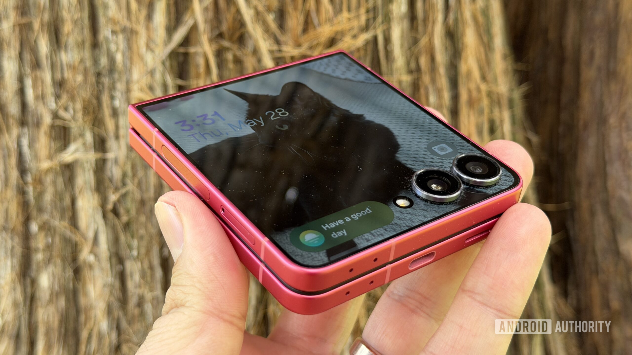 Samsung Galaxy Z Flip 7 cat cover screen