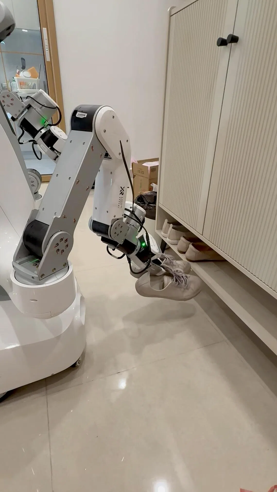 Can a humanoid do all my housework?
