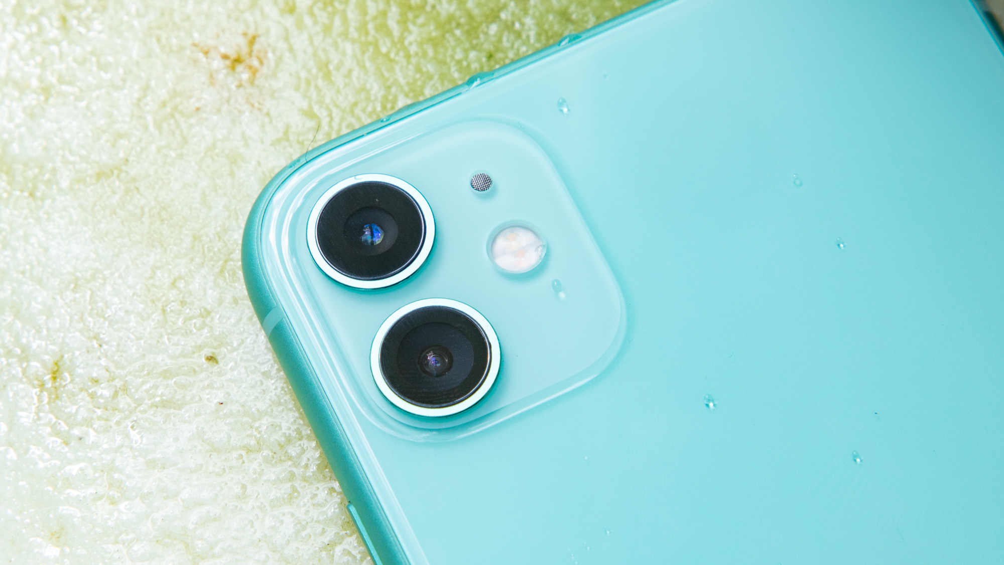 iPhone 11 cameras